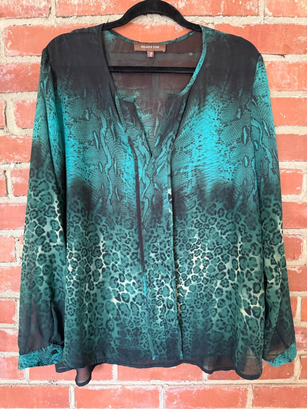 Sheer Teal Animal-Print Long-Sleeve Blouse